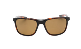 Essential Endeavor Polarized Sunglasses "Tortoise / Brown" EV1124 220