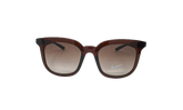 Myriad Sunglasses "Eldorado / Brown Gradient" EV1153 222