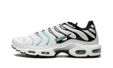 Air Max Plus "Atmos" 604133 148