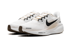 Air Zoom Pegasus 41 WMNS"Sail Phantom White Black" FD2723 108