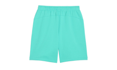 BMW MOTORSPORT ESS+ FLEECE SHORTS "Green" 633286 17