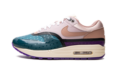 AIR MAX 1 () WMNS"Plum Fog Fossil Rose" DV2301 501